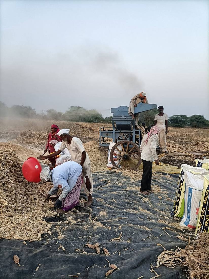 Farm workers operating the wood ghana in the field